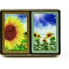Cards>Congress Sunflowers Standard Index Bridge Playing Cards - 2 Deck Set - Your Source for Gaming Essentials