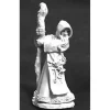 Tabletop Miniatures>Reaper Miniatures Darbin the Deadly #02541 Dark Heaven Legends Unpainted Metal - Your Source for Gaming Essentials